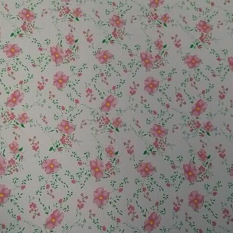 Ralは2169 Z60 90ga前に鋼板のGI色の塗られたシートを塗った 3