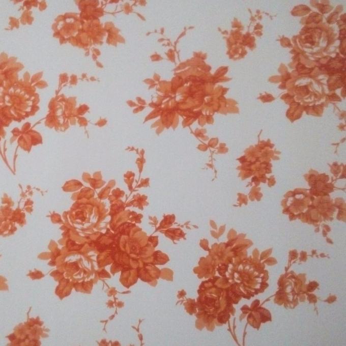 Ralは2169 Z60 90ga前に鋼板のGI色の塗られたシートを塗った 5